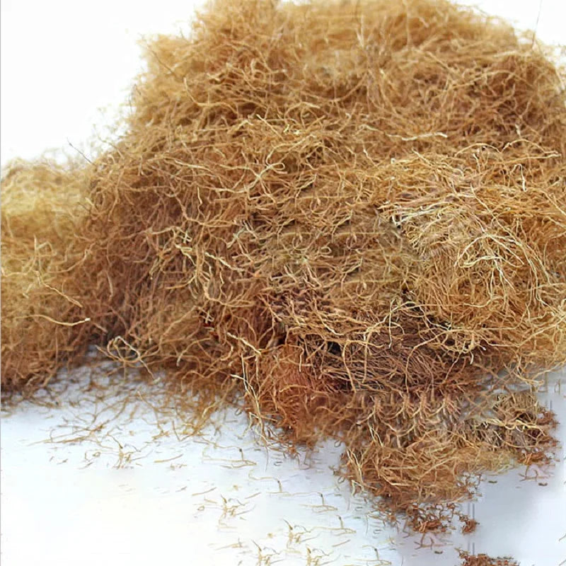 50g Diorama Grass Simulation Model Scenery Material