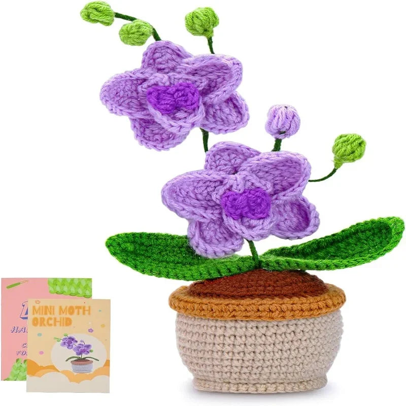BUDDUR Beginner Crochet Kit of Flowers with Cotton Yarn and Instructions