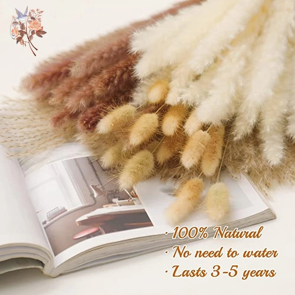 Natural Dried Pampas Grass Bouquet – Boho Decor for Home & Events