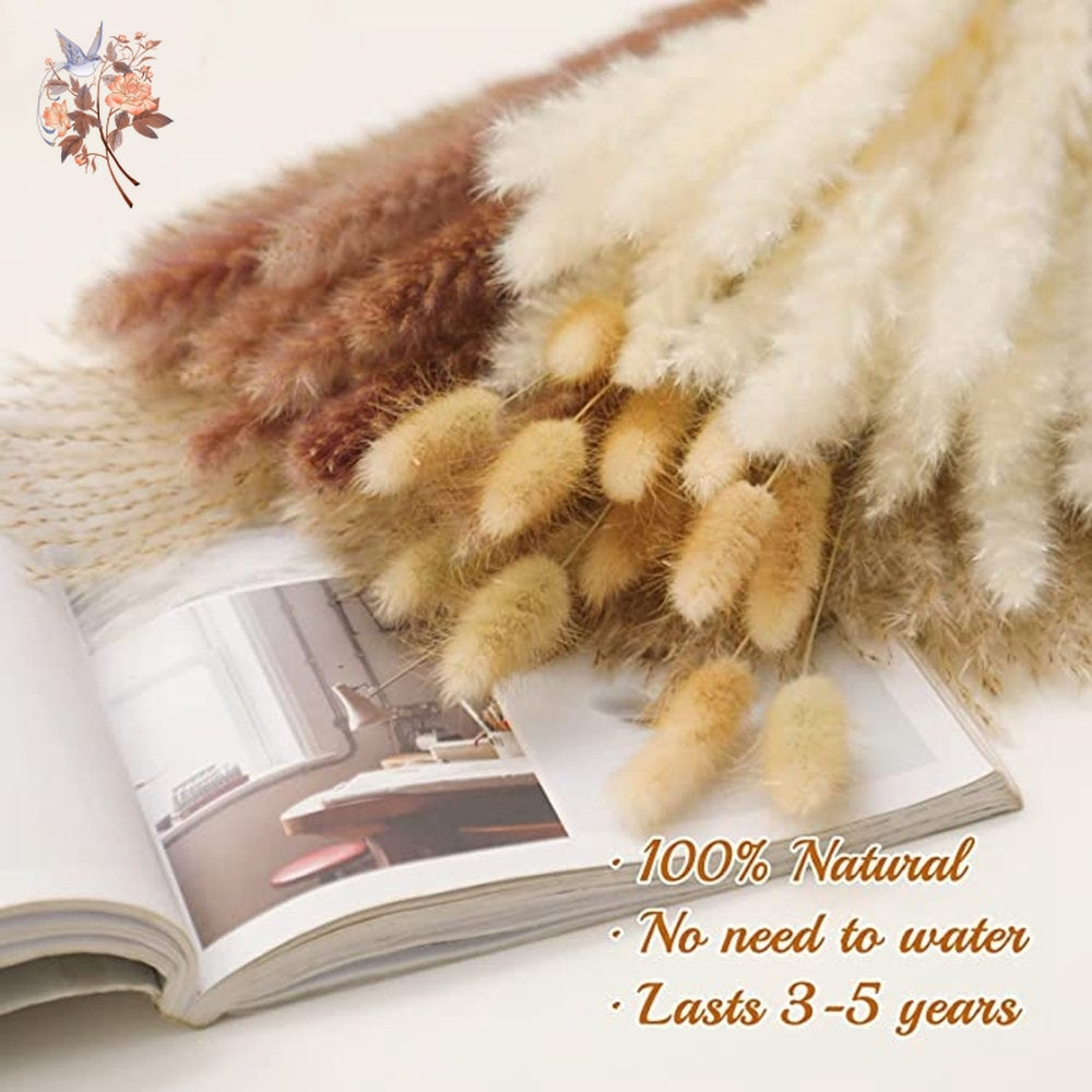 Natural Dried Pampas Grass Bouquet – Boho Decor for Home & Events