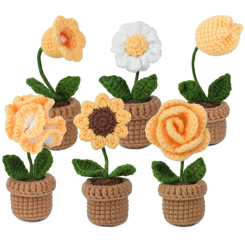 KRABALL 6pcs Beginner Crochet Potted Flower Kit