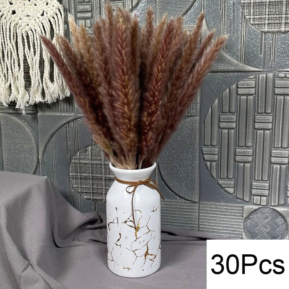 Natural Dried Pampas Grass Bouquet – Boho Decor for Home & Events