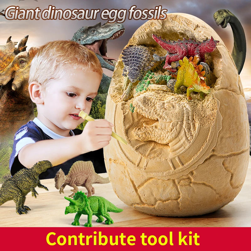 Dinosaur Egg Excavation Toy Fossil Dig Kit for Kids