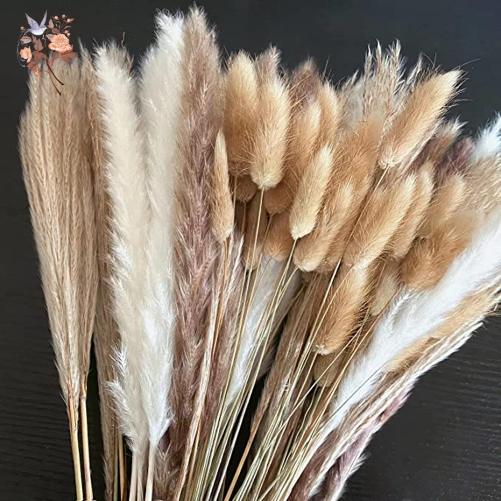 Natural Dried Pampas Grass Bouquet – Boho Decor for Home & Events
