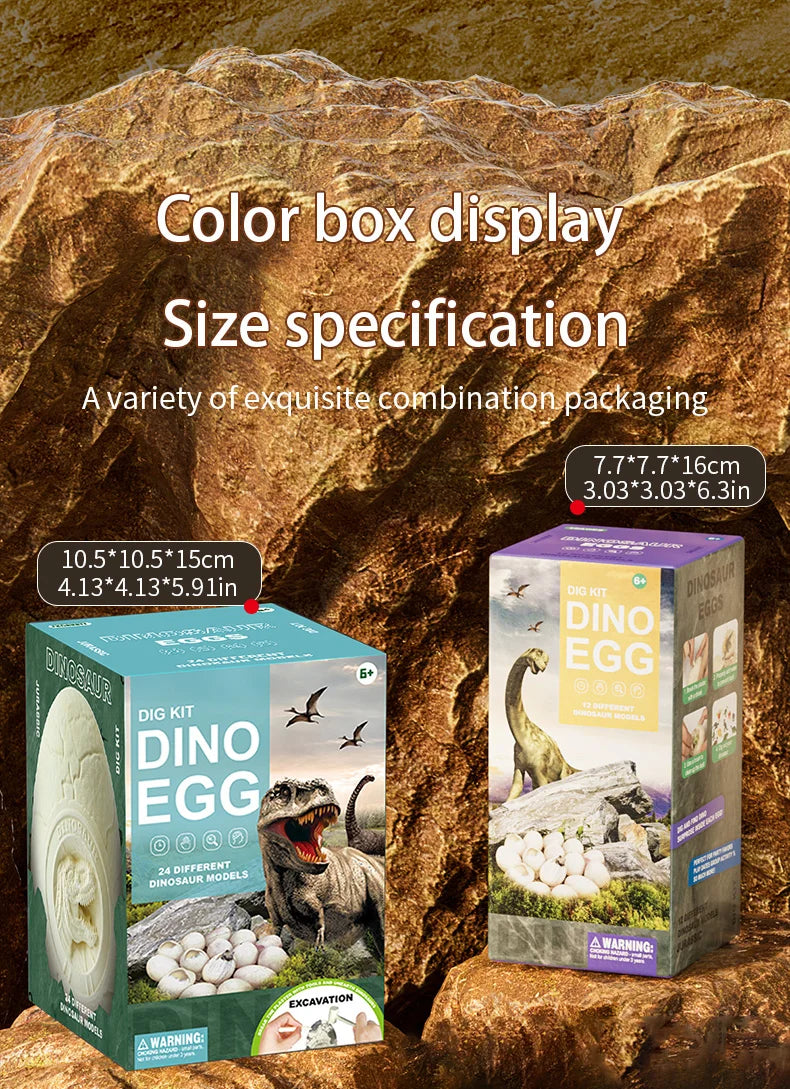 Dinosaur Egg Excavation Toy Fossil Dig Kit for Kids