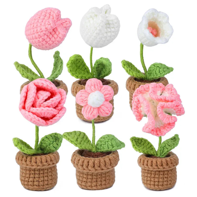 KRABALL 6pcs Beginner Crochet Potted Flower Kit