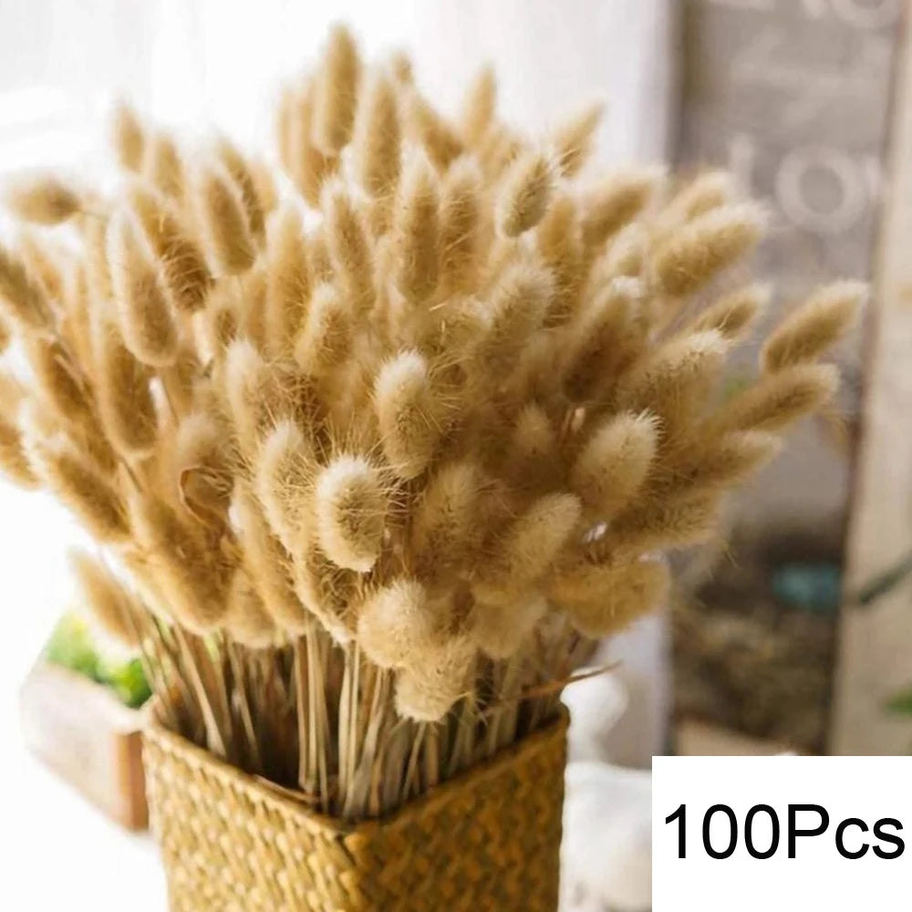 Natural Dried Pampas Grass Bouquet – Boho Decor for Home & Events
