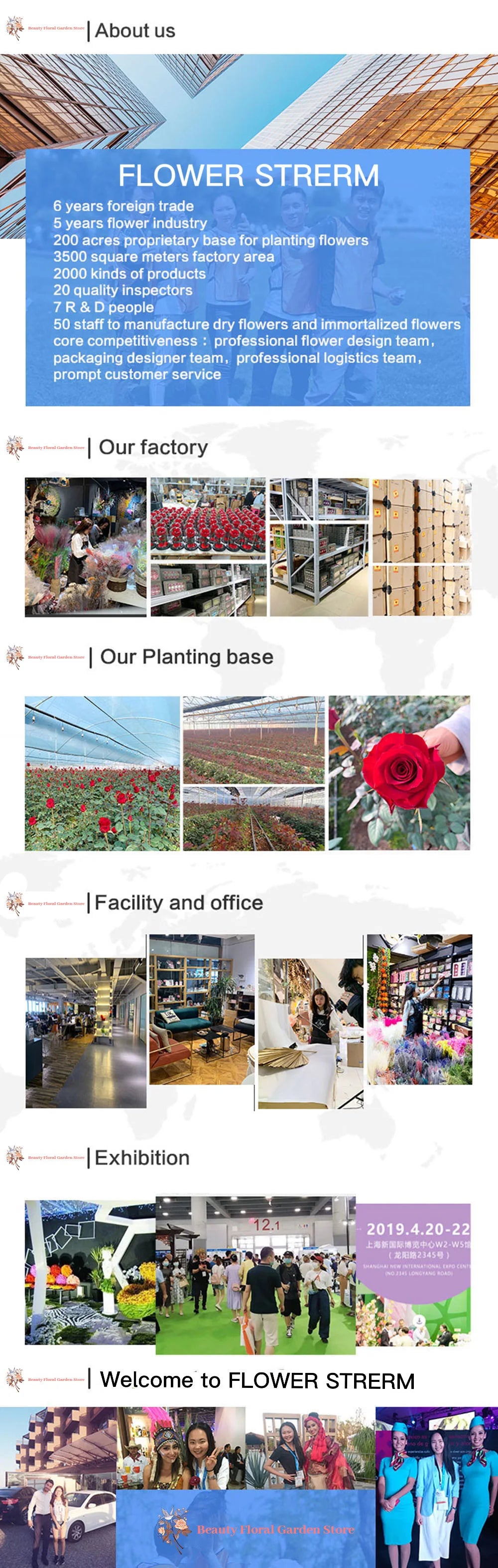 Natural Dried Pampas Grass Bouquet – Boho Decor for Home & Events