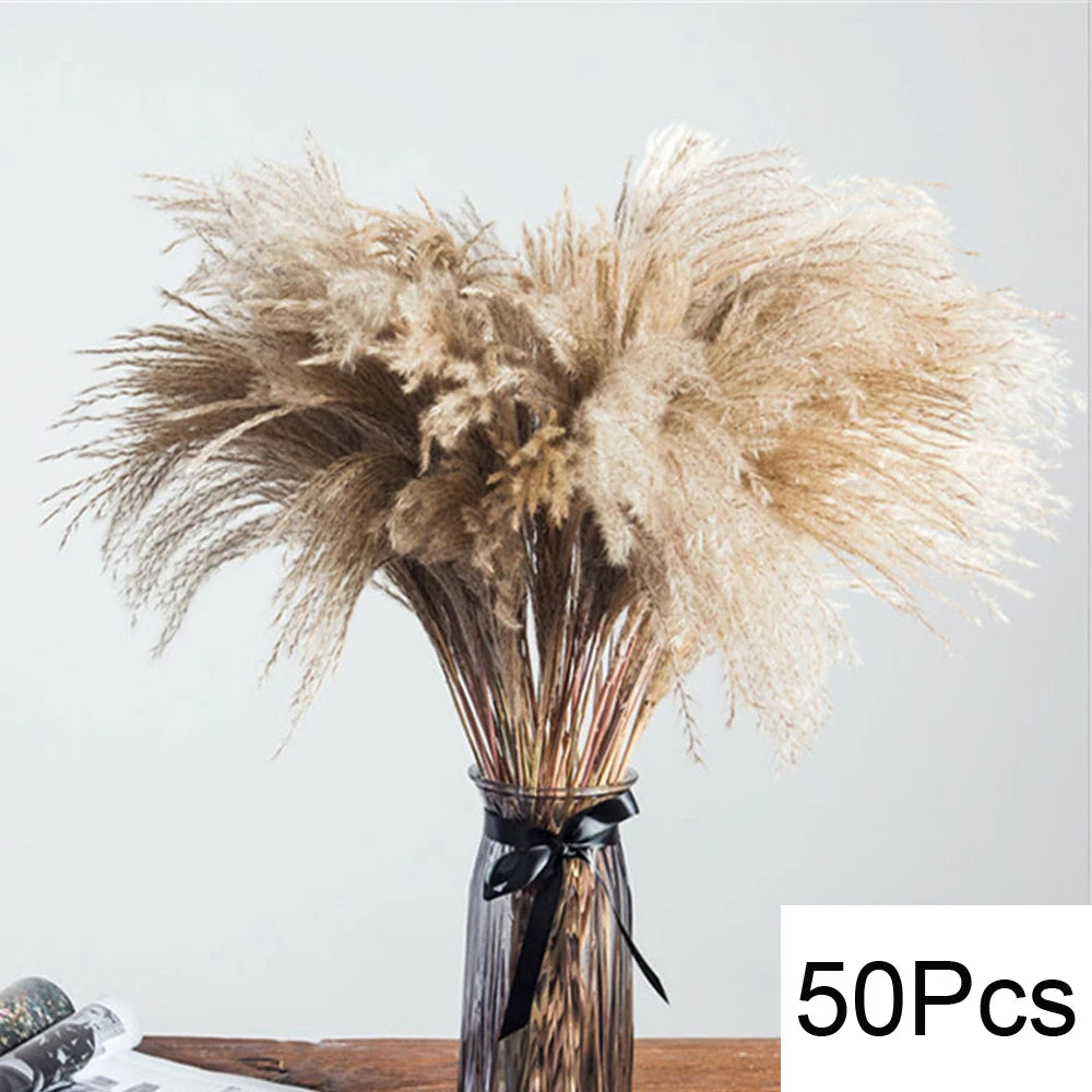 Natural Dried Pampas Grass Bouquet – Boho Decor for Home & Events