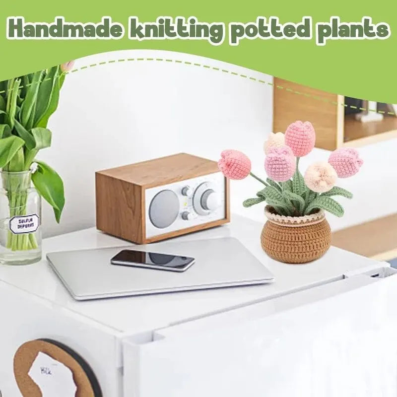 BUDDUR Beginner Crochet Kit of Flowers with Cotton Yarn and Instructions