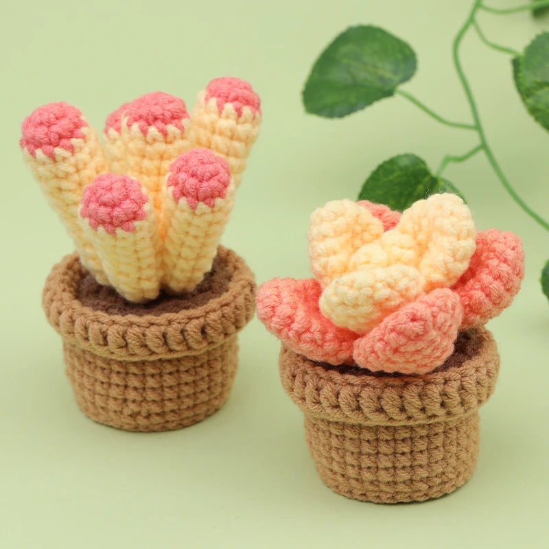 KRABALL 3/6pcs Cactus Crochet Starter Kit for Adults