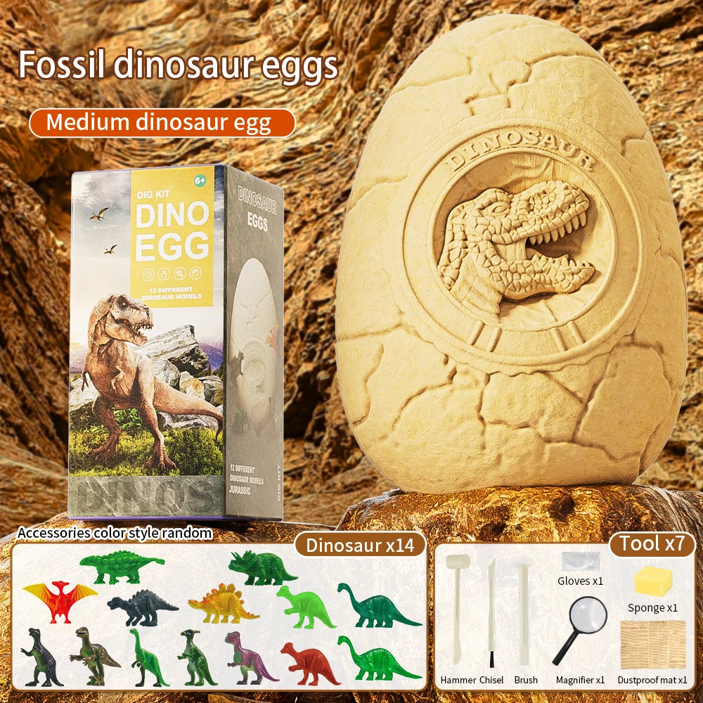 Dinosaur Egg Excavation Toy Fossil Dig Kit for Kids