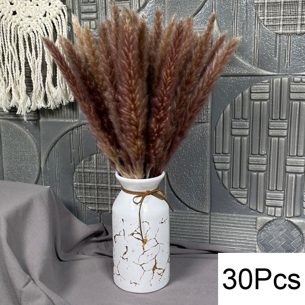 Natural Dried Pampas Grass Bouquet – Boho Decor for Home & Events