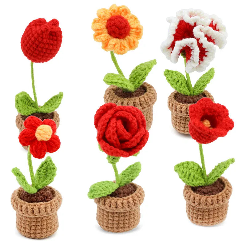KRABALL 6pcs Beginner Crochet Potted Flower Kit