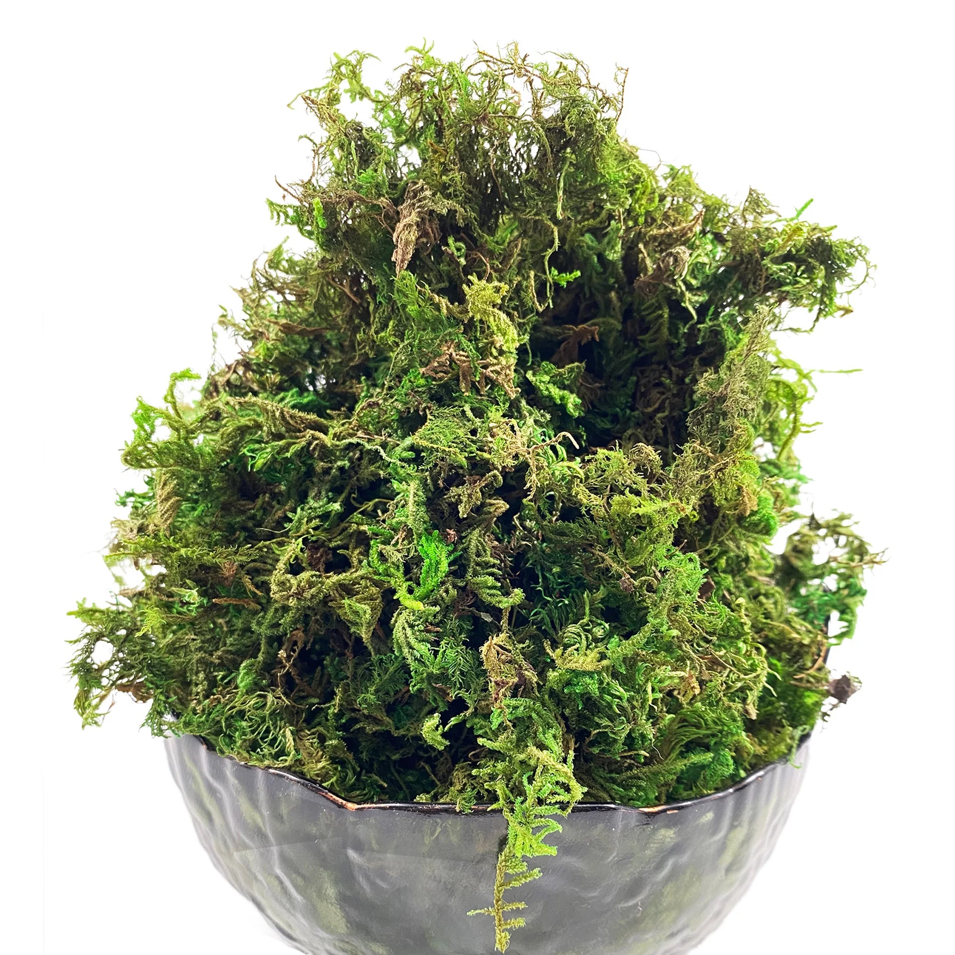Artificial Green Moss for Plant Decor and Craft