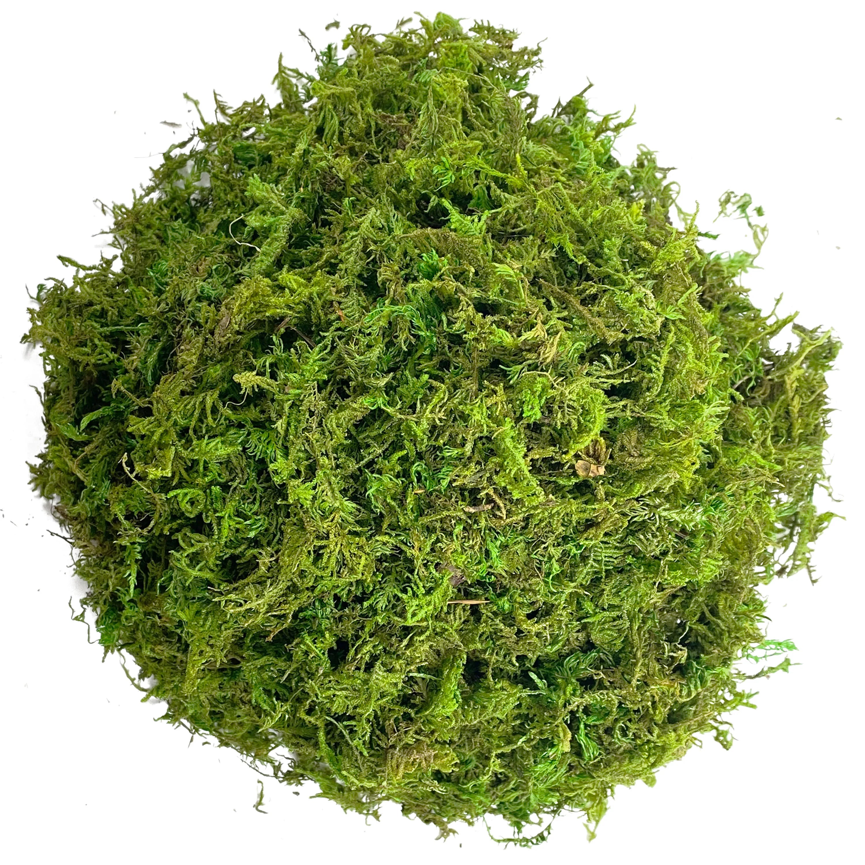 Artificial Green Moss for Plant Decor and Craft
