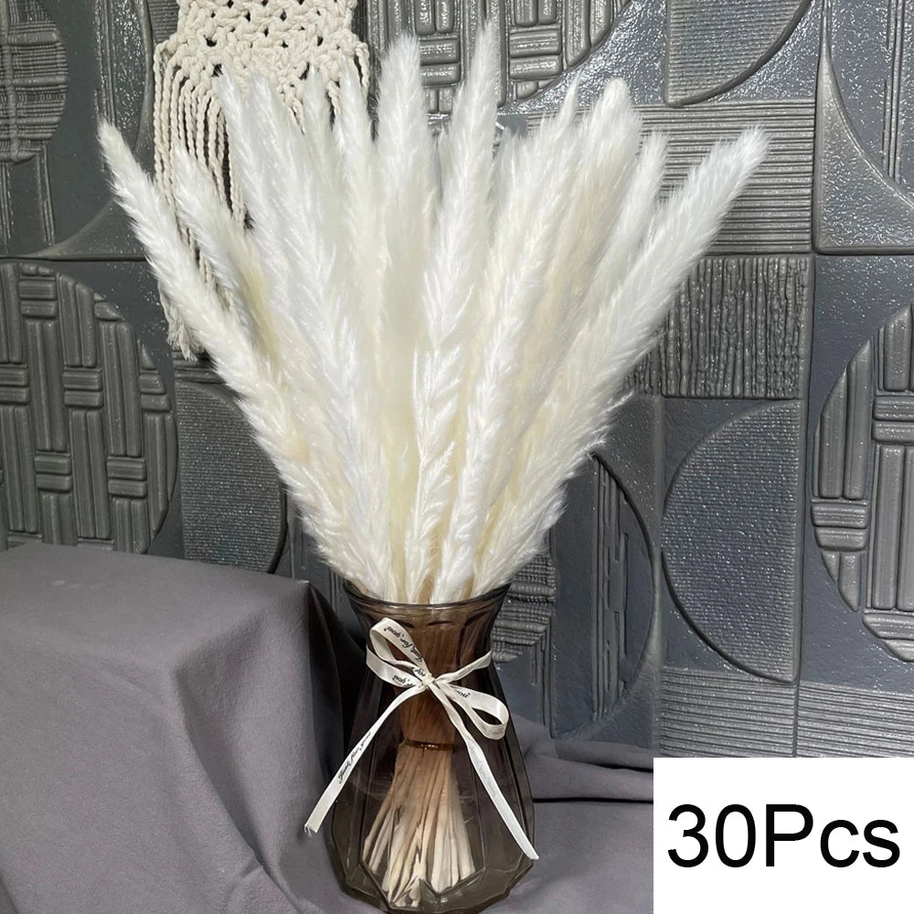 Natural Dried Pampas Grass Bouquet – Boho Decor for Home & Events