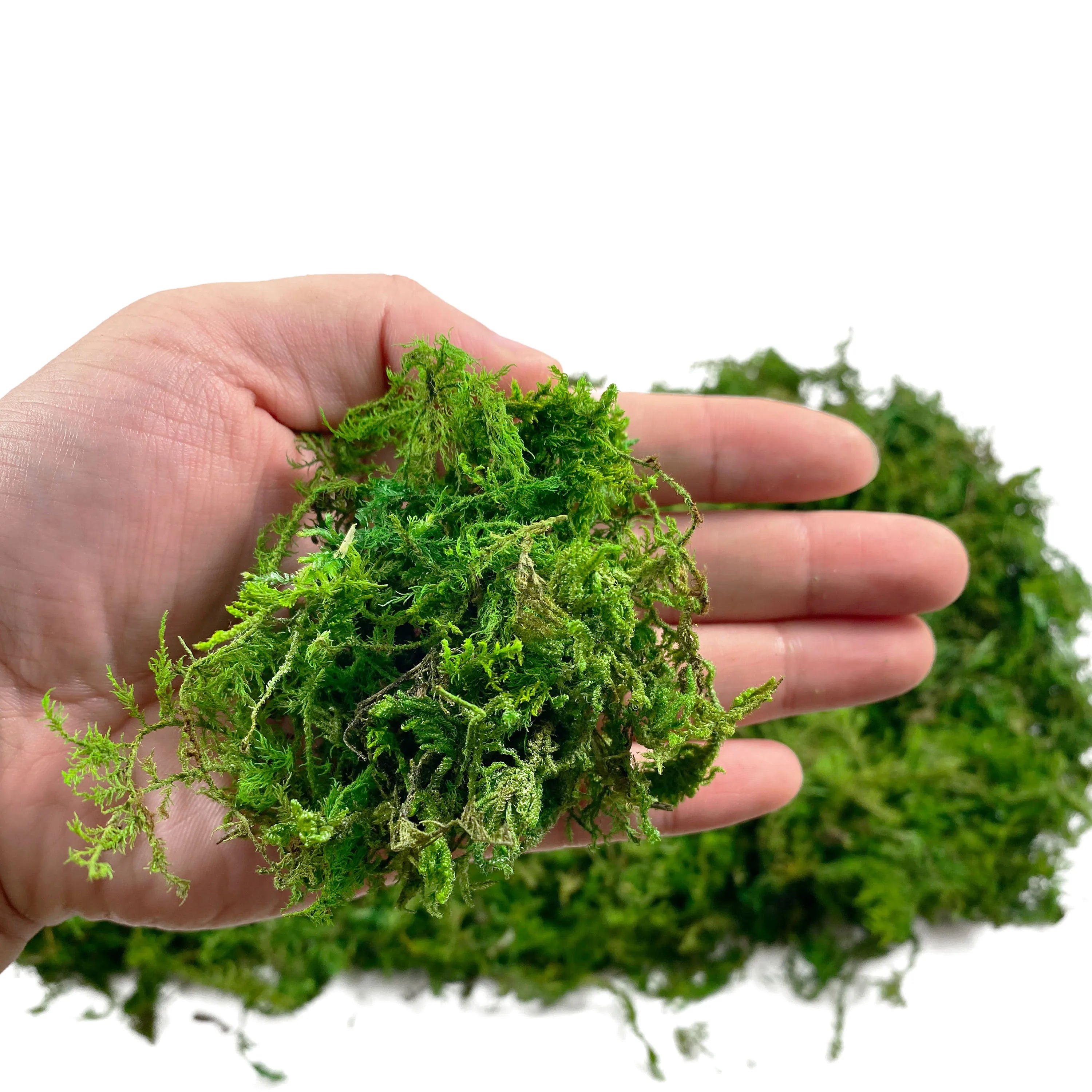 Artificial Green Moss for Plant Decor and Craft