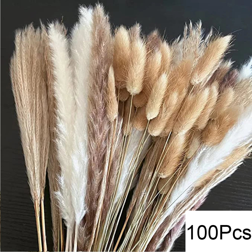 Natural Dried Pampas Grass Bouquet – Boho Decor for Home & Events