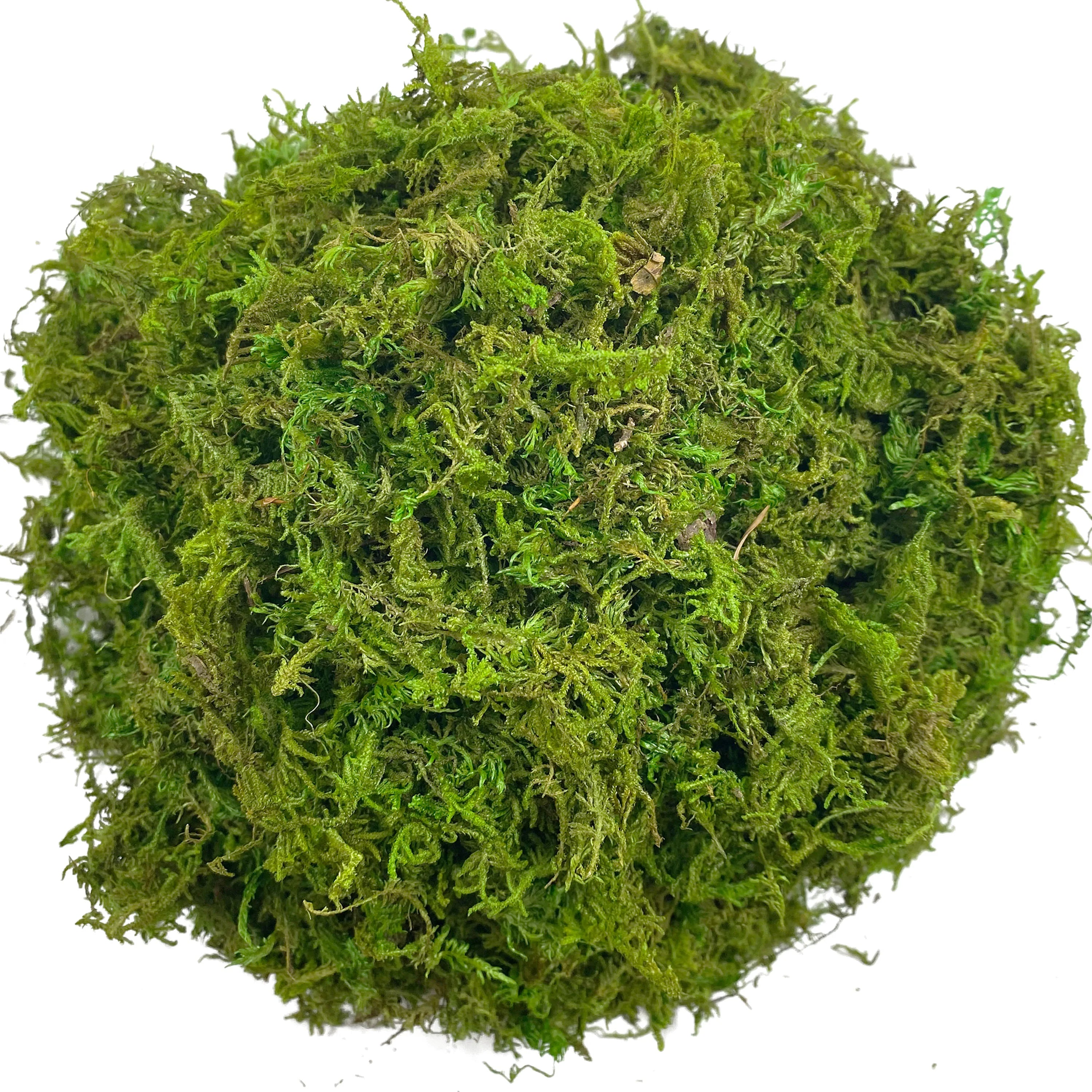 Artificial Green Moss for Plant Decor and Craft