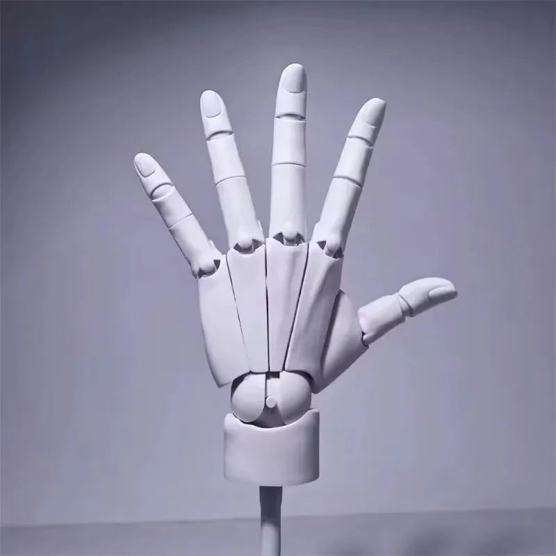 Articulated Hand Model for Drawing and Decoration