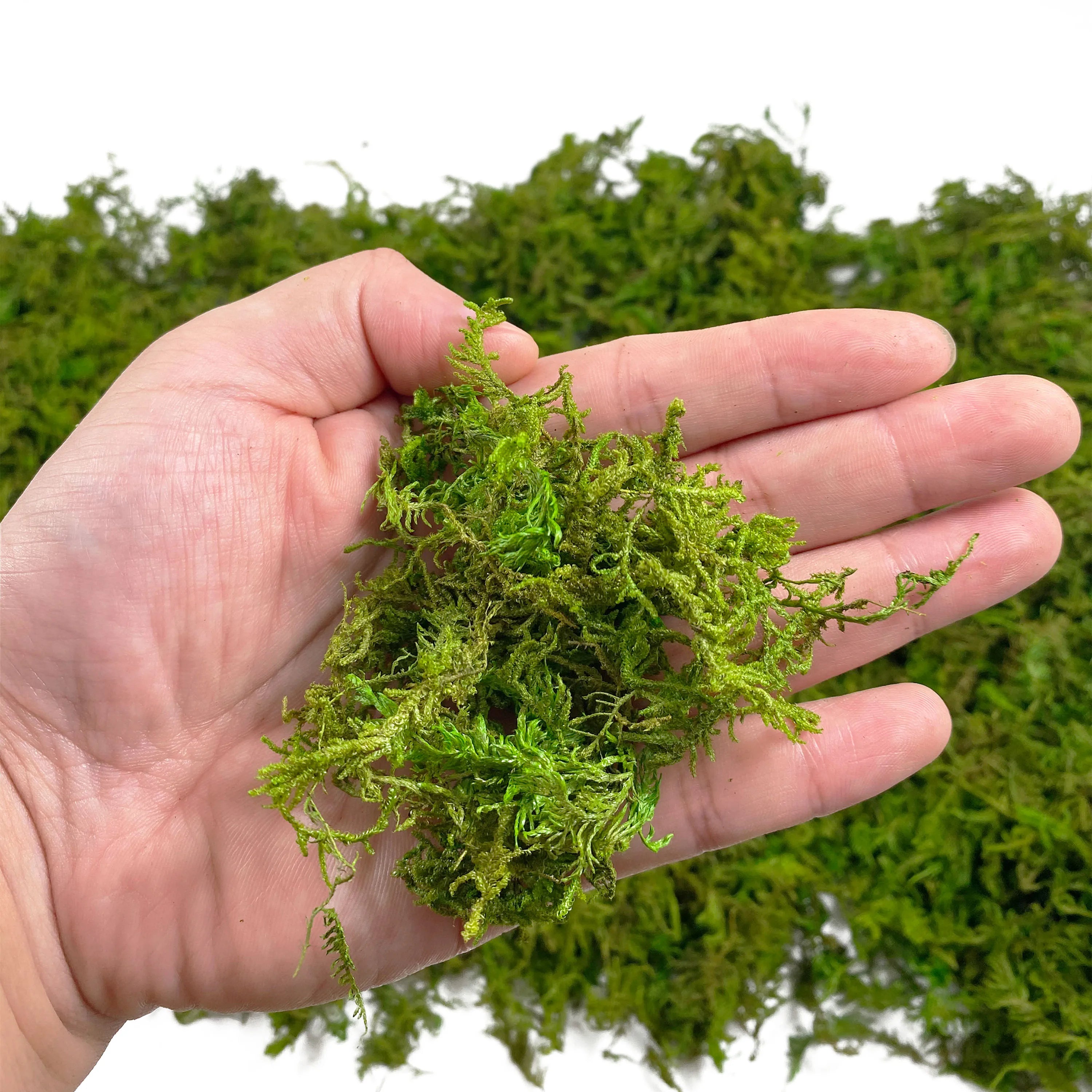 Artificial Green Moss for Plant Decor and Craft