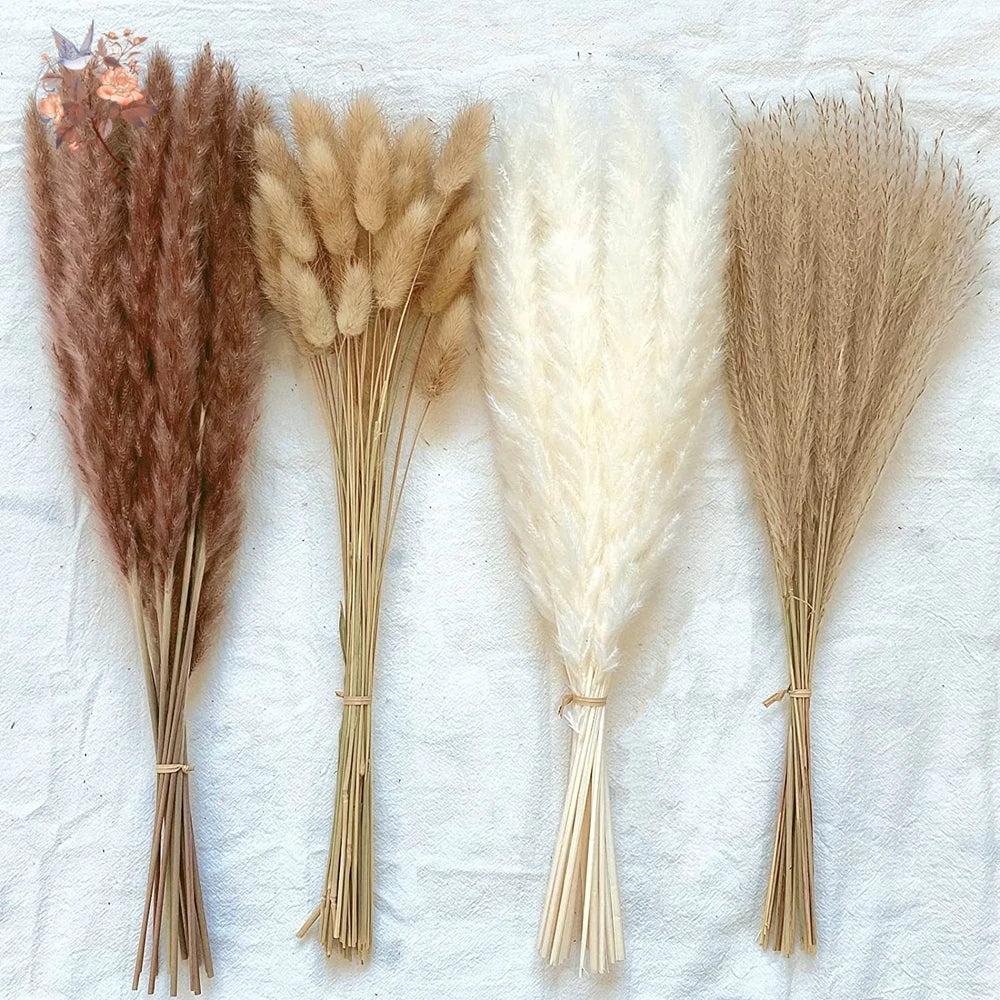 Natural Dried Pampas Grass Bouquet – Boho Decor for Home & Events