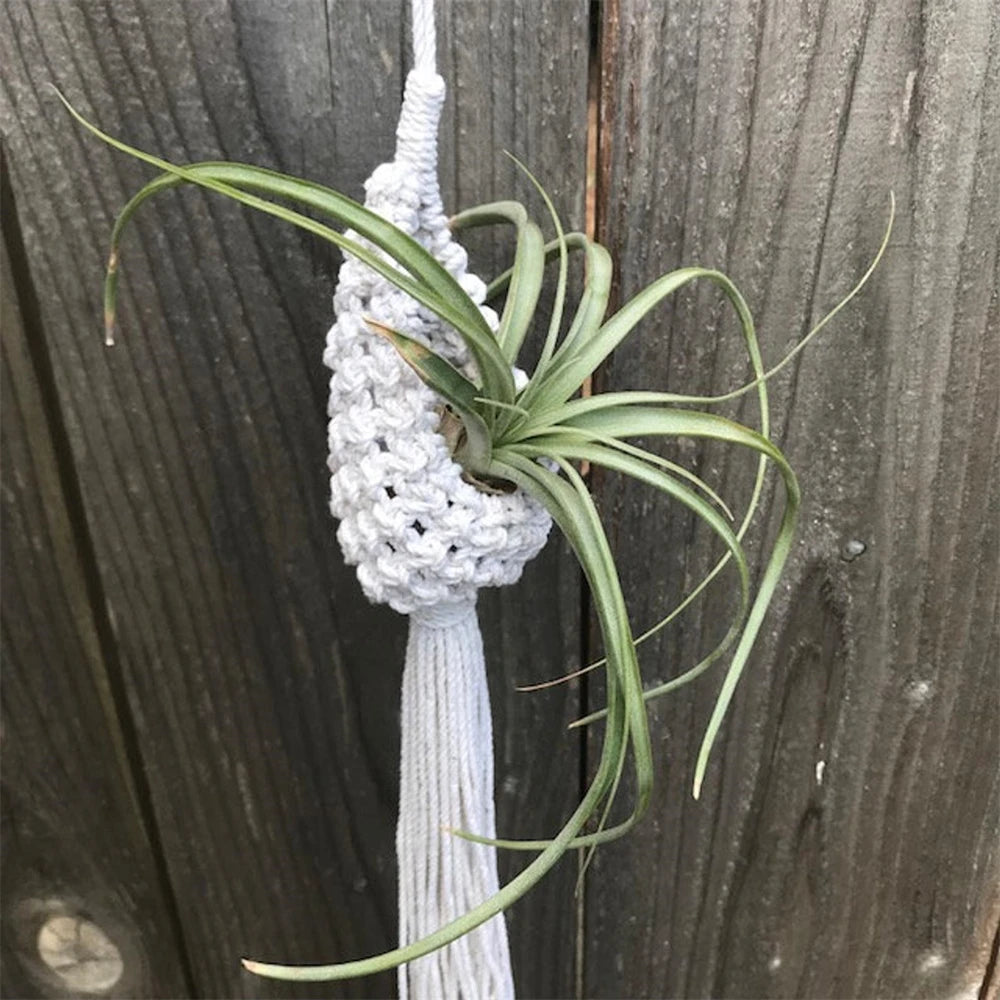 Handmade Macrame Plant Hanger Boho Wall Decor