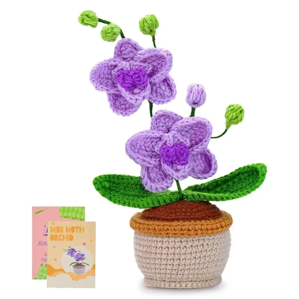 BUDDUR Beginner Crochet Kit of Flowers with Cotton Yarn and Instructions