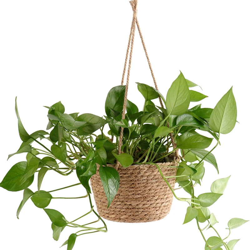 Jute Rope Macrame Hanging Planter Basket