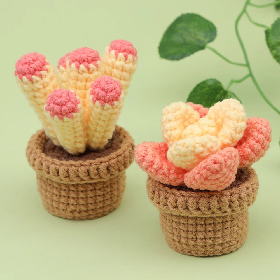 KRABALL 3/6pcs Cactus Crochet Starter Kit for Adults