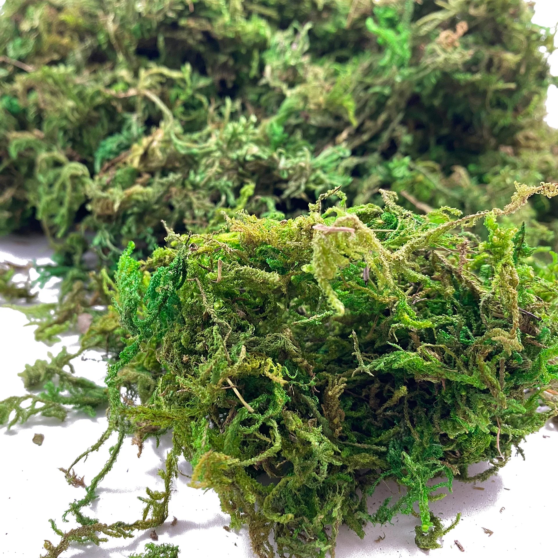Artificial Green Moss for Plant Decor and Craft